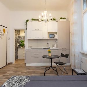 Appartement met een Slaapkamer